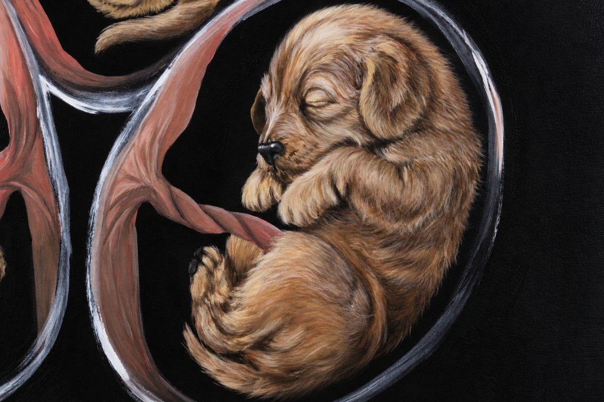 Hang On, Your Best Friend Is Coming — Original Puppy Painting | Genesis Collection