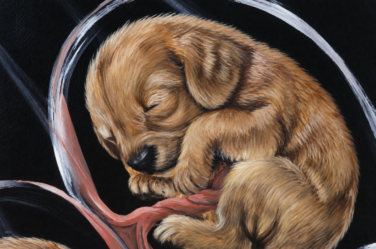 Hang On, Your Best Friend Is Coming — Original Puppy Painting | Genesis Collection